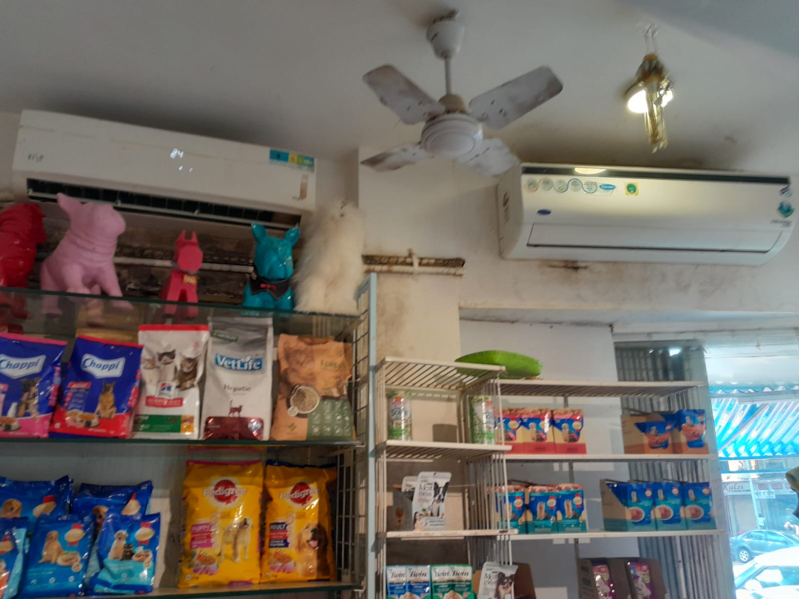 Shop for Rent in L J  Road Mumbai