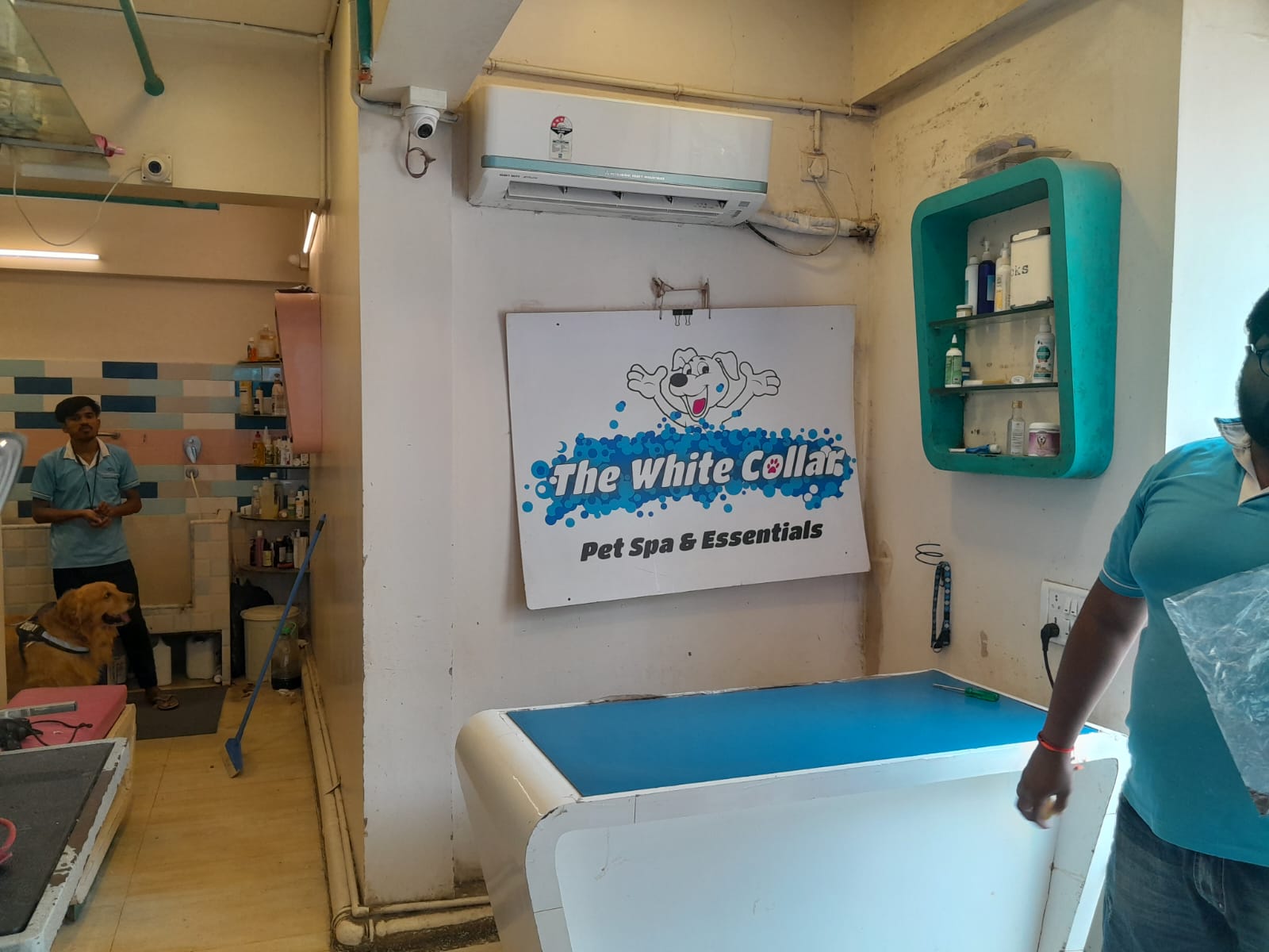Shop for Rent in L J  Road Mumbai