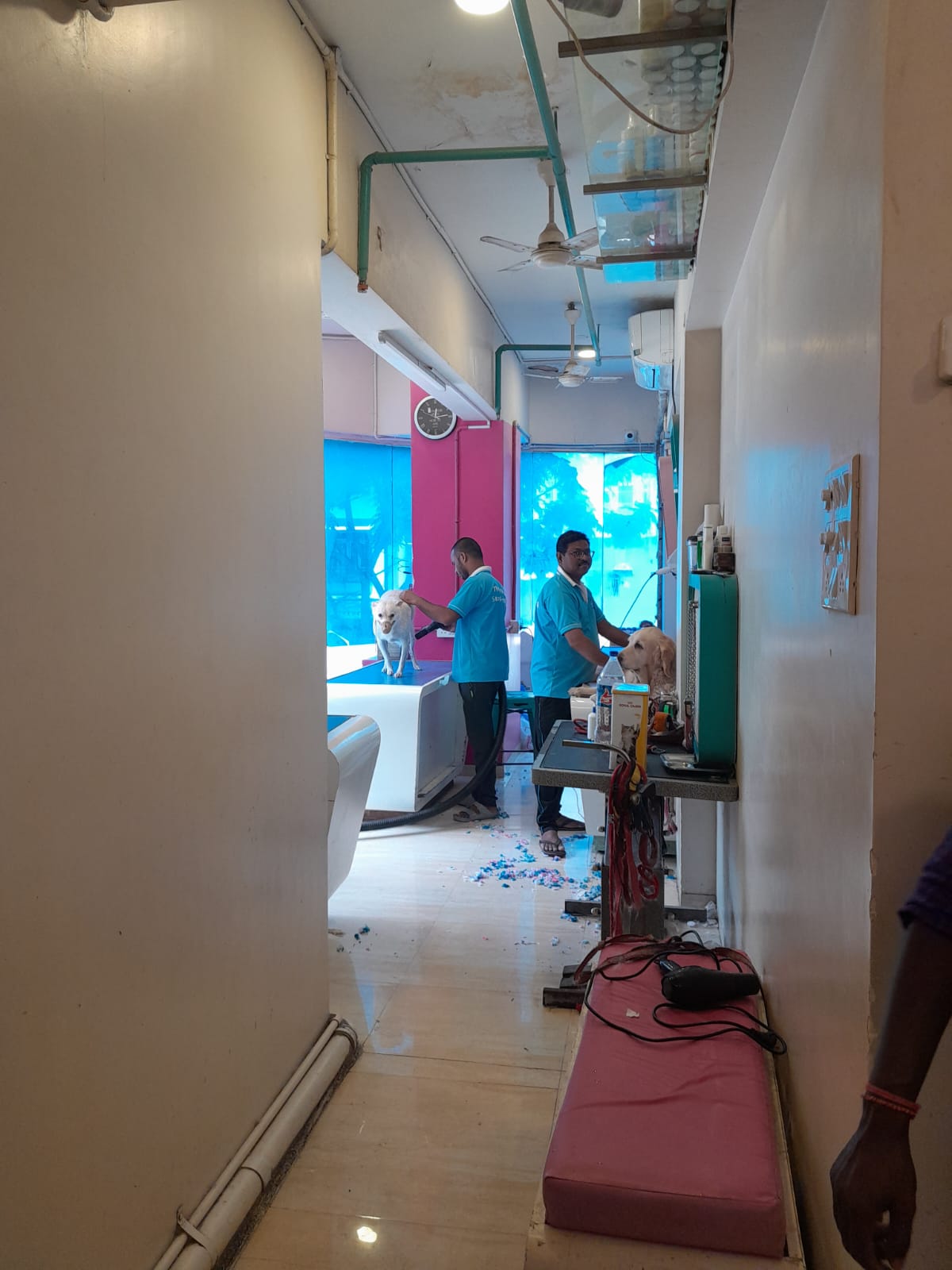 Shop for Rent in L J  Road Mumbai