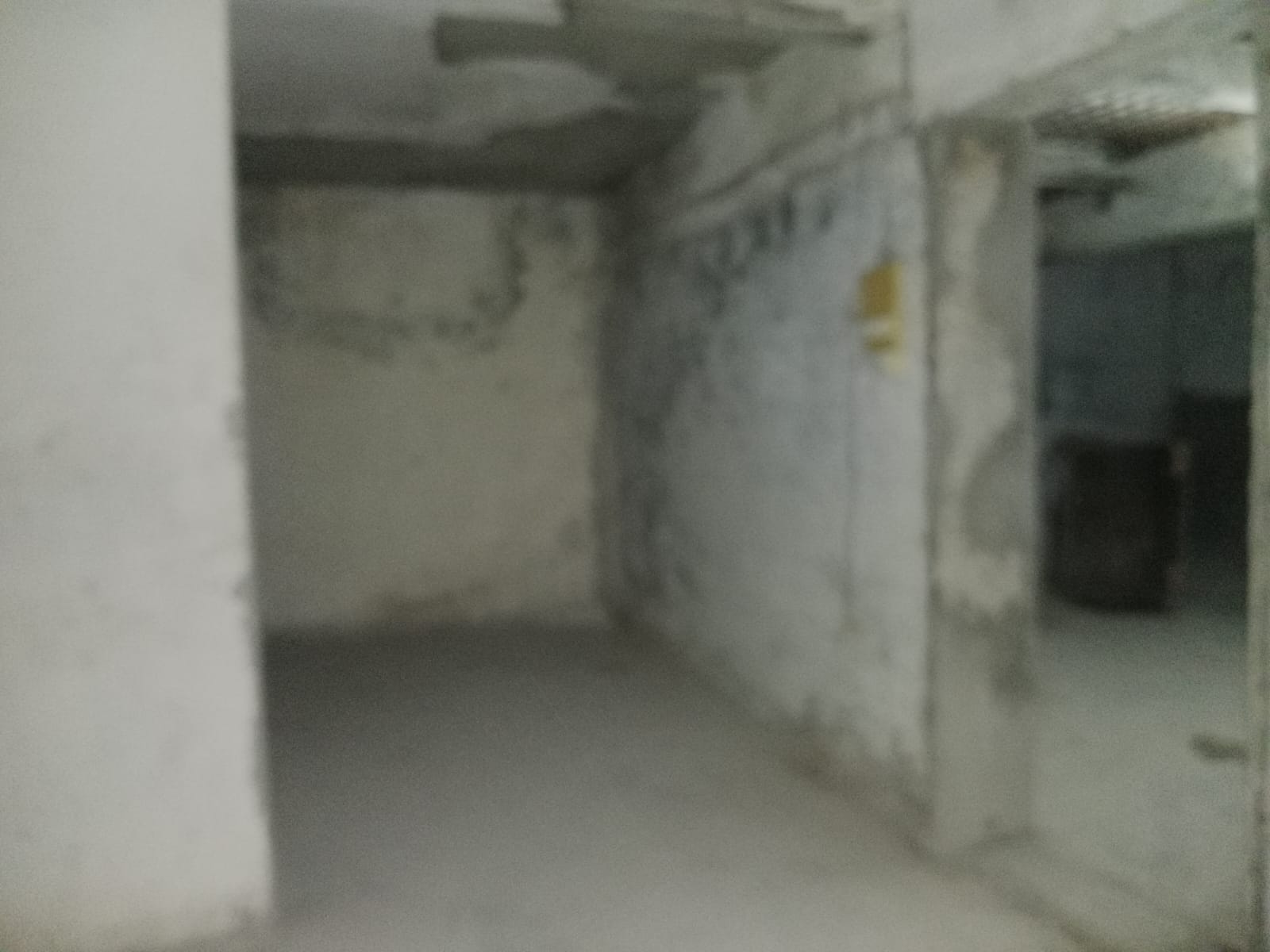 Showroom for Rent in Appasaheb Marathe Marg Mumbai