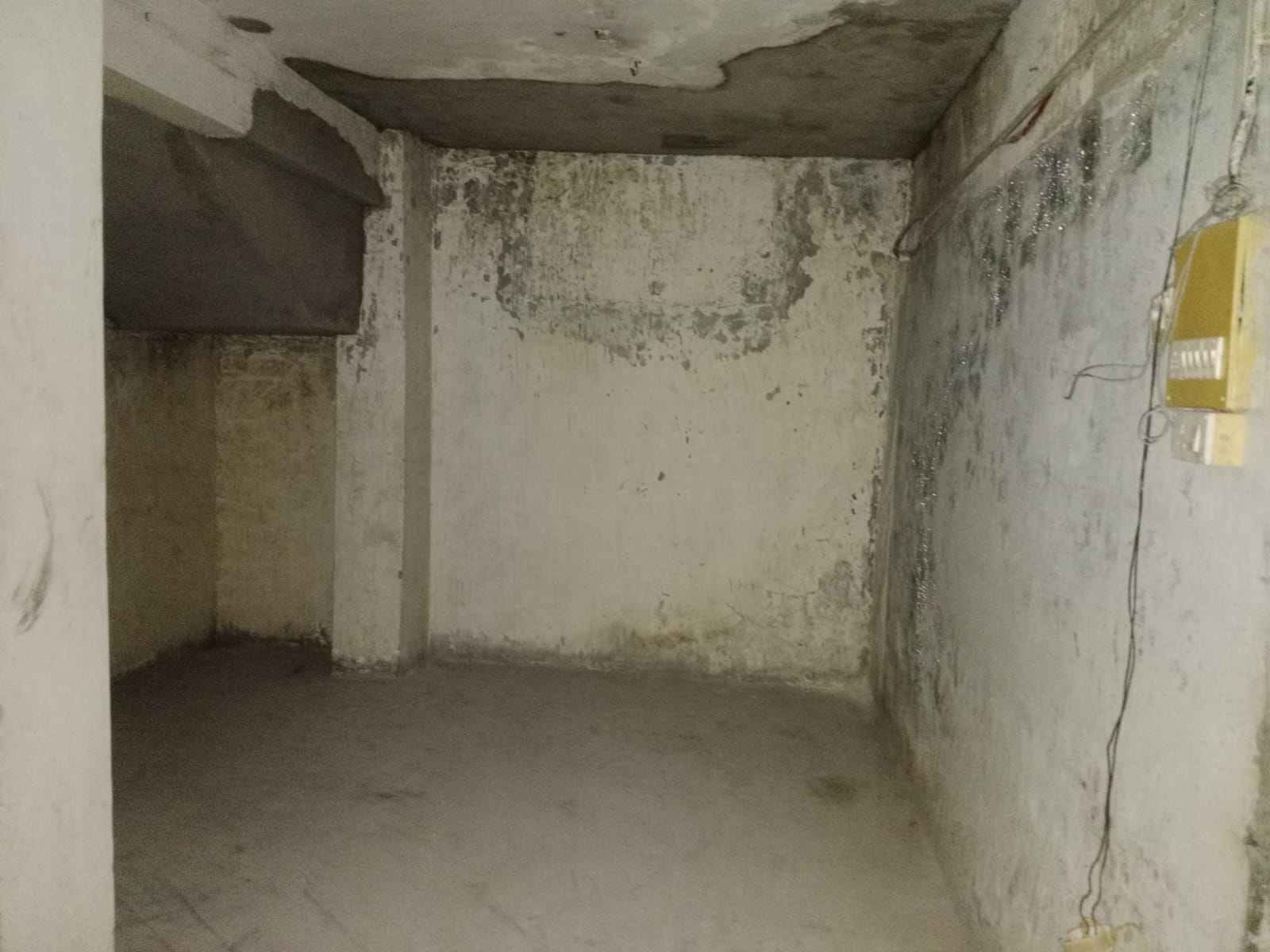 Showroom for Rent in Appasaheb Marathe Marg Mumbai