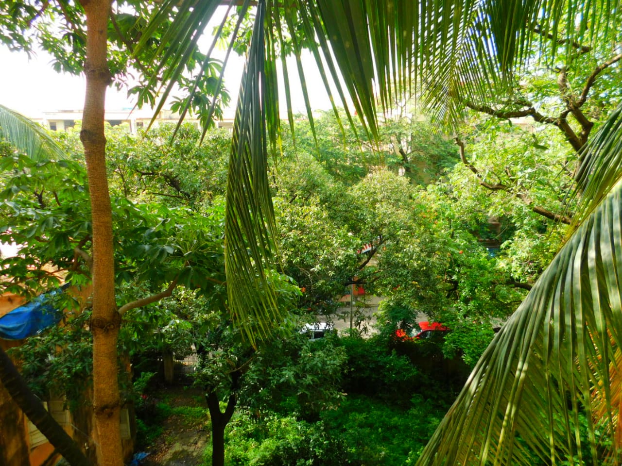 3 BHK Apartment for Sale in Park Road Mumbai