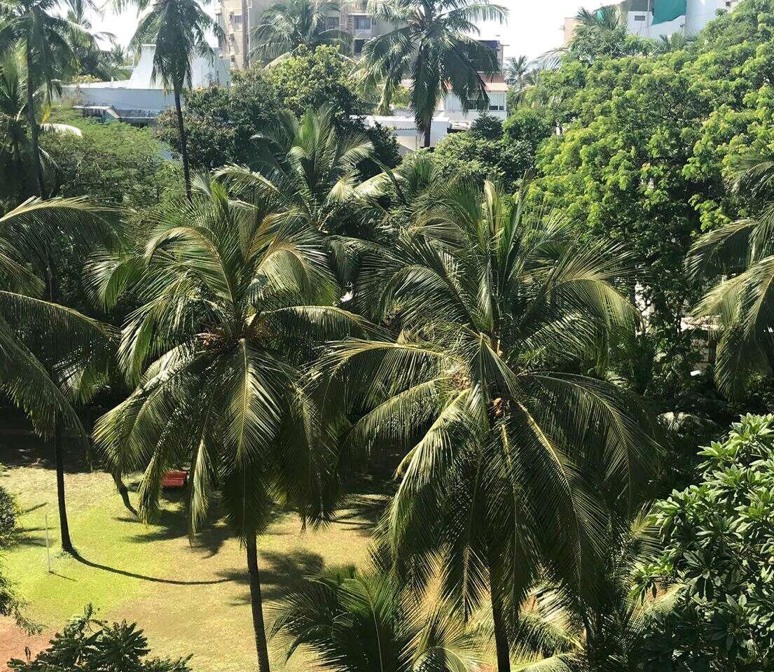 3 BHK Apartment for Sale in Gandhigram Road Mumbai