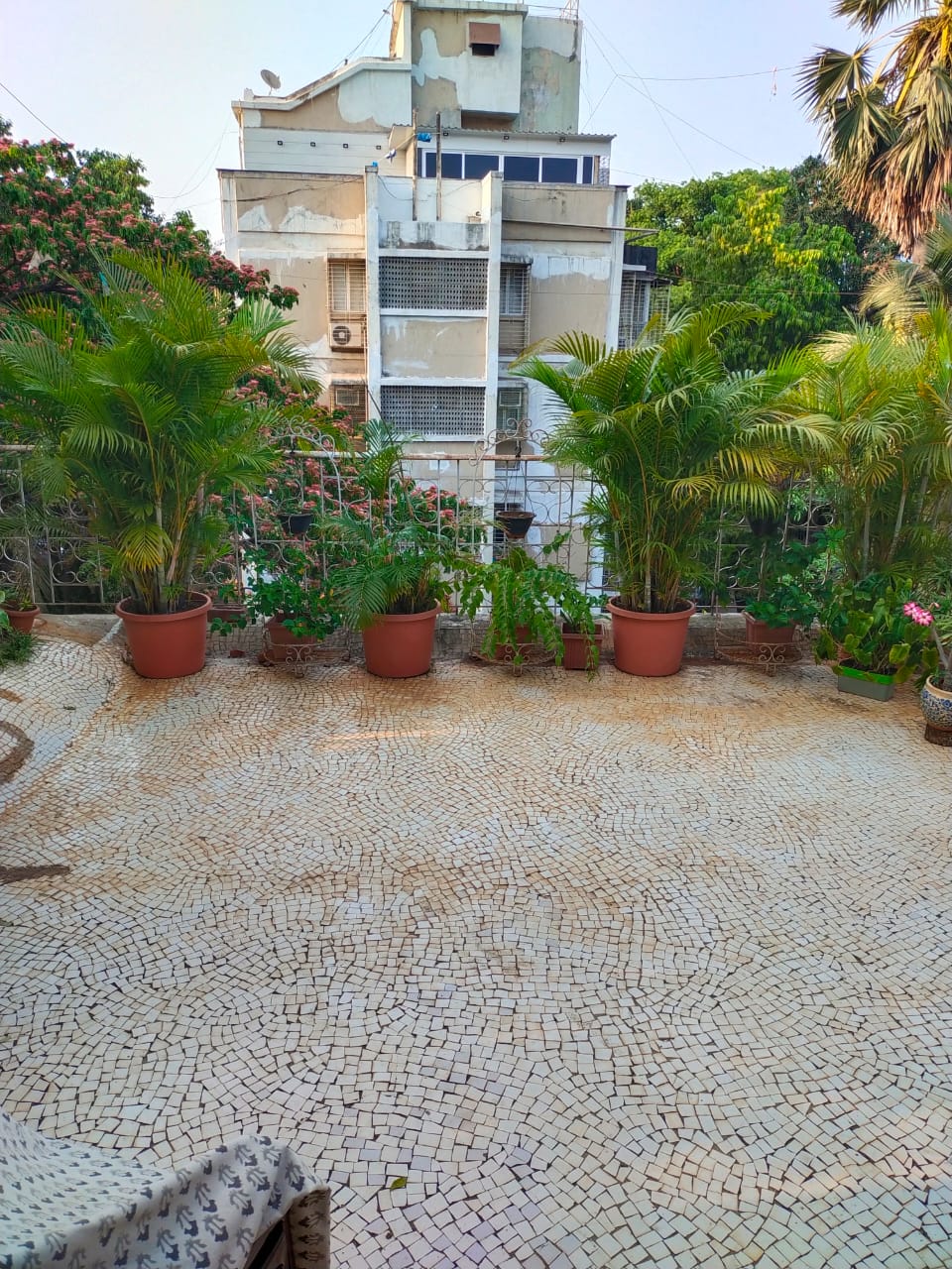 6 BHK Penthouse for Sale in Poddar St Mumbai