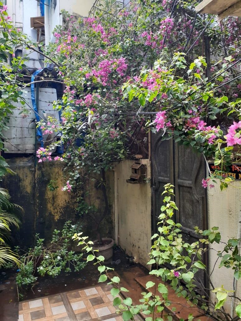 3 BHK Villa for Sale in Chium Village Mumbai