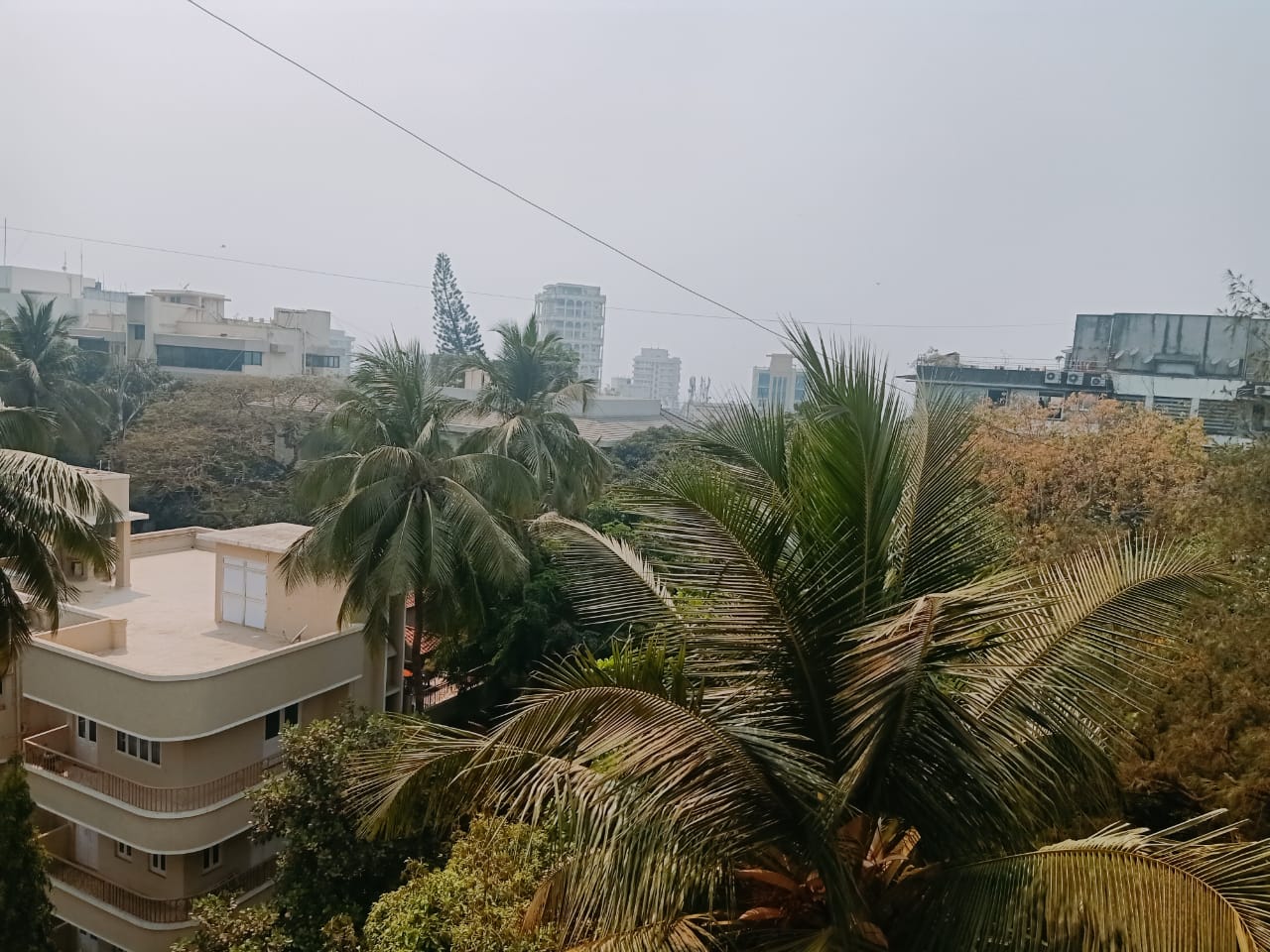 2 BHK Apartment for Rent in Pali Hill Mumbai
