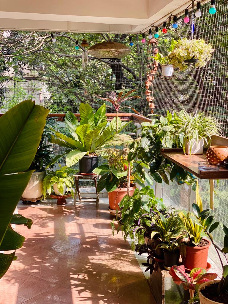3 BHK Apartment for Rent in 15th Road Mumbai