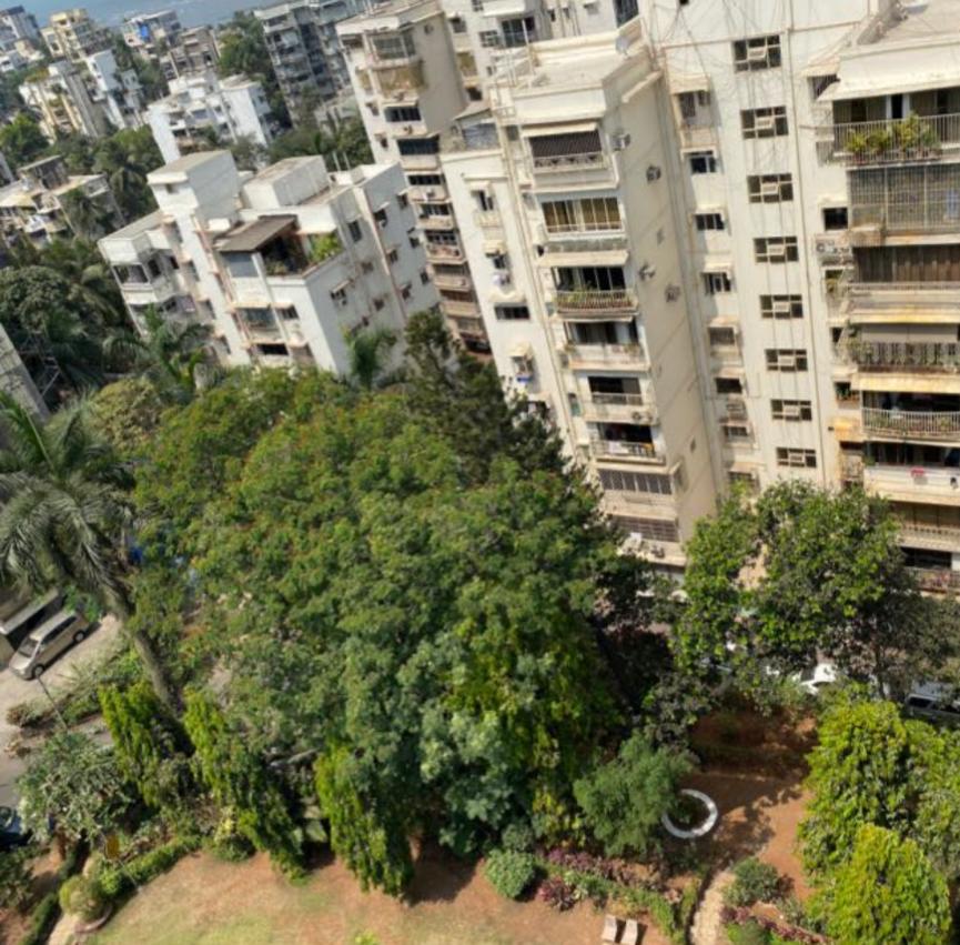 1 BHK Apartment for Rent in Pali  Hill Mumbai