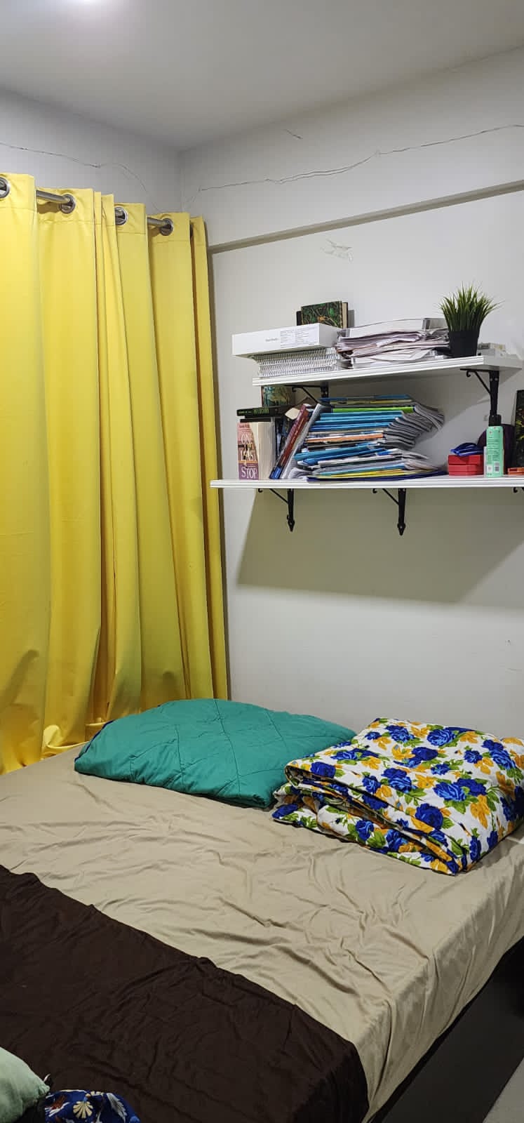 3 BHK Apartment for Rent in 2nd Hasnabad Lane Mumbai