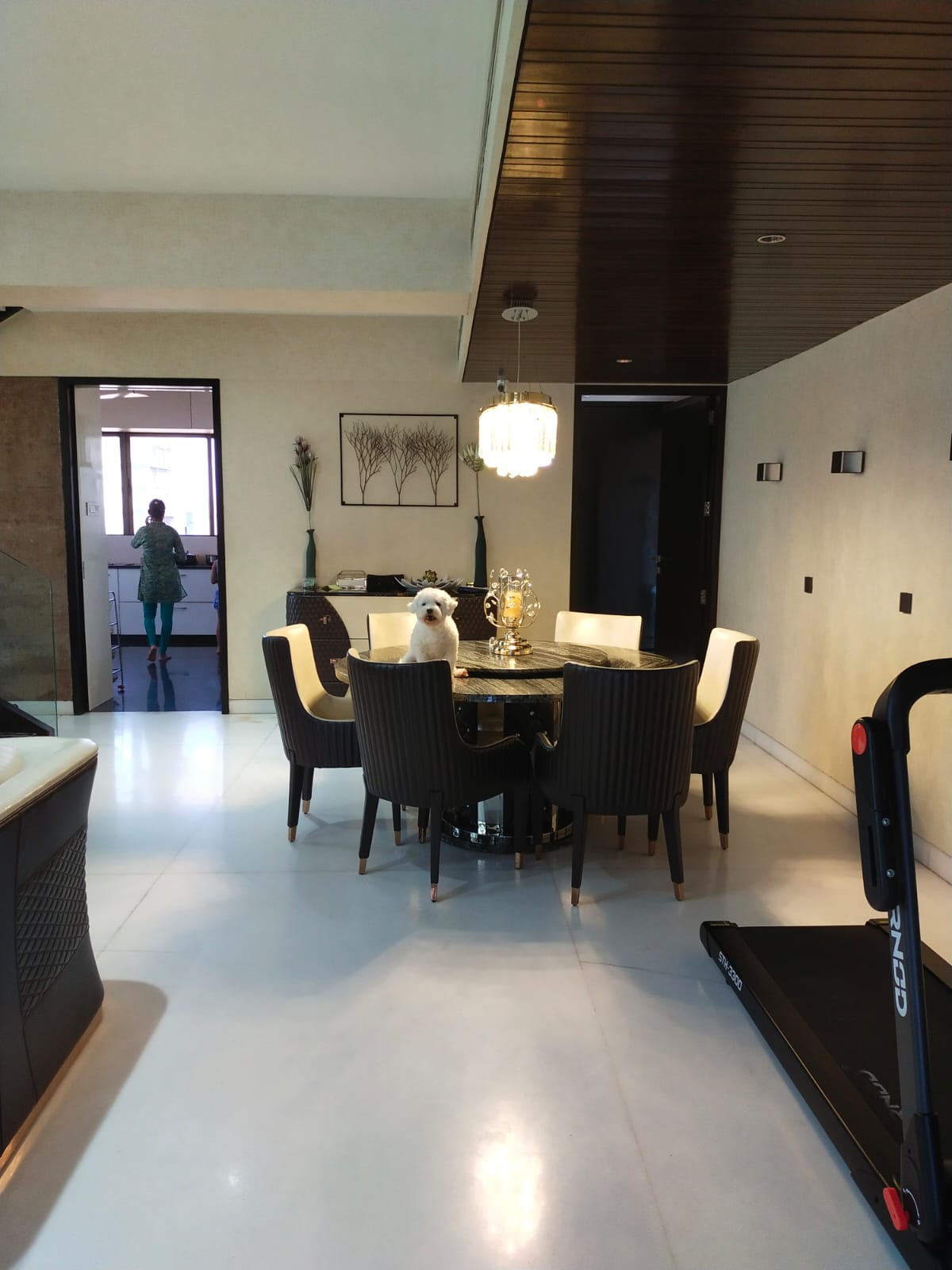 4 BHK Penthouse for Sale in Bandra West Mumbai