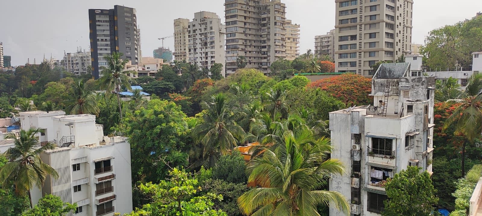 4 BHK Apartment for Sale in Dr. Peter Dias Road Mumbai