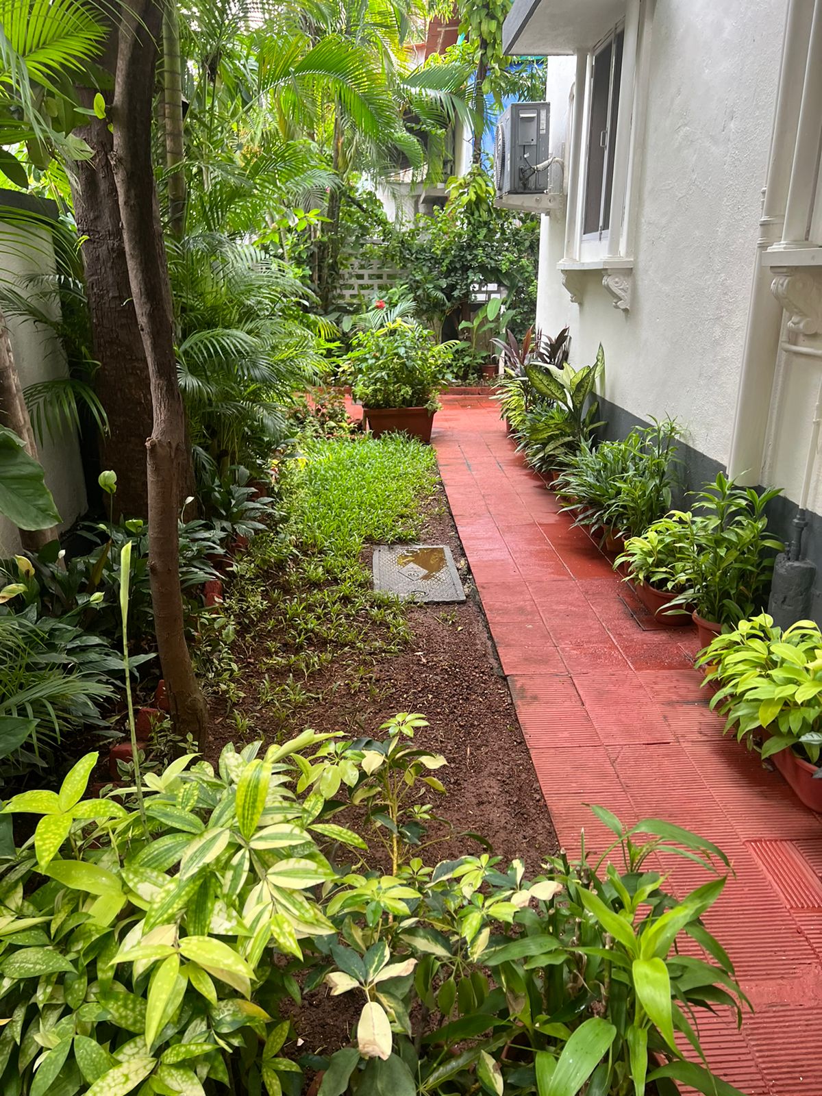 4 BHK Apartment for Sale in Andheri West Mumbai