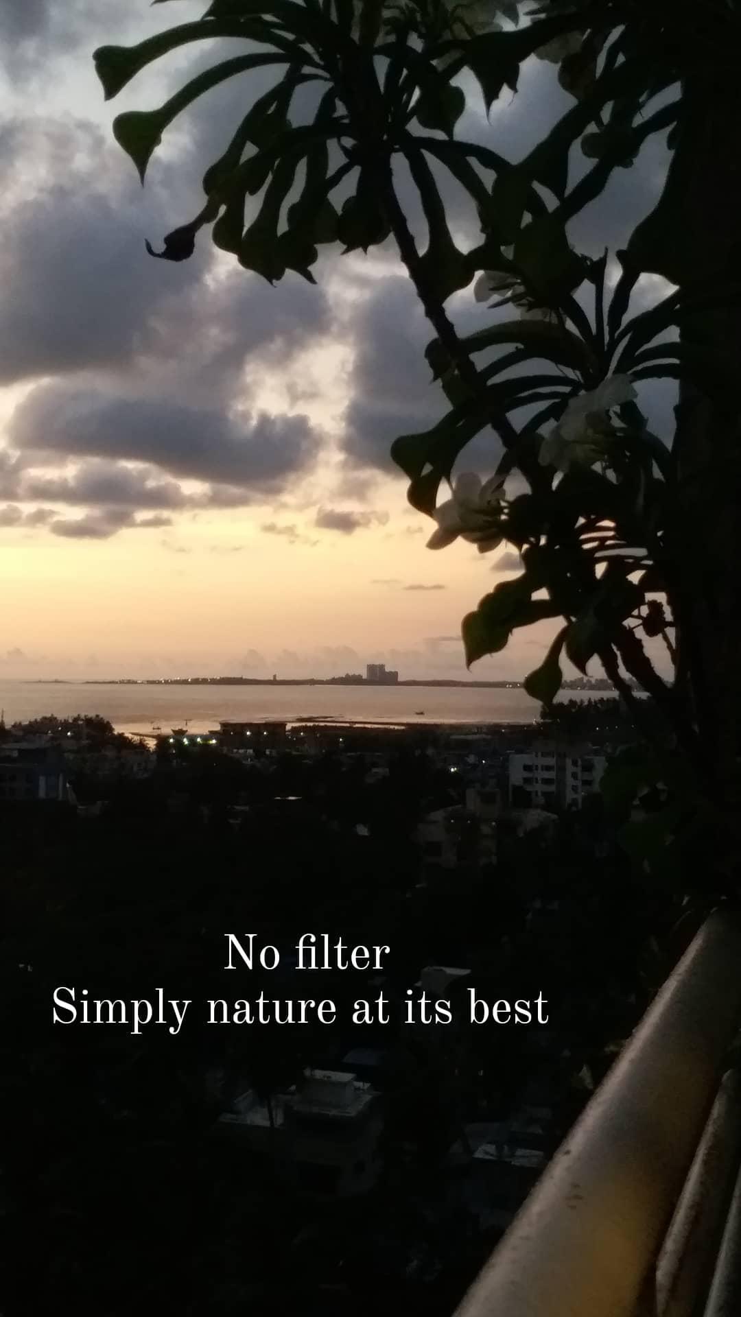 1 BHK Studio Apartment for Sale in Khar West Mumbai